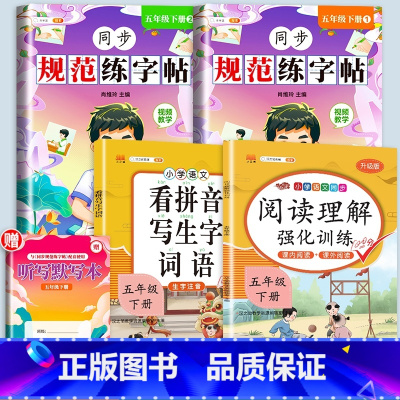 [4册+听默写本]练字帖+阅读理解+看拼音 五年级下 [正版]五年级下册字帖规范练字帖每日一练同步人教版语文生字练字本描