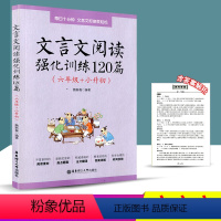 [正版]文言文阅读强化训练120篇 六年级+小升初 小学语文小升初辅导练习册六年级同步拓展阅读全解全析专项训练总复习资