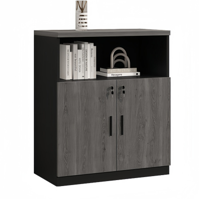 悦兴诚办公柜 两门台