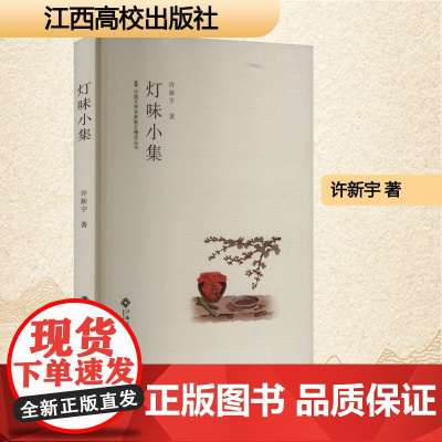 灯味小集 许新宇 著 散文 文学 江西高校出版社