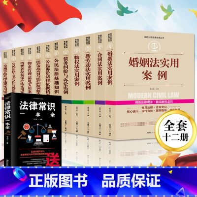 [正版]全12册法律书籍 全套实用版 公民法律基础知识+债务纠纷诉讼+婚姻法+合同法+新劳动法 保护法实用案例中华人民