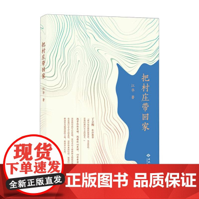 把村庄带回家 通过深情书写生养的村庄 讲述三代女性坚韧 爱与传承的温情故事展现隐忍 坚守 执着的生命底色 现代随笔