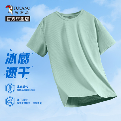 啄木鸟冰丝t恤男短袖夏季2025新款网眼透气半袖男款速干运动体恤Y