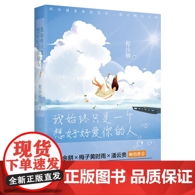 我始终只是一个想好好爱你的人