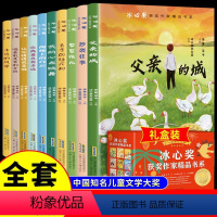 冰心奖获奖作家精品书系 [正版]冰心奖获奖作家精品书系全10册儿童文学作品集全集父亲的城 永远的风景小学生三四五六年级阅