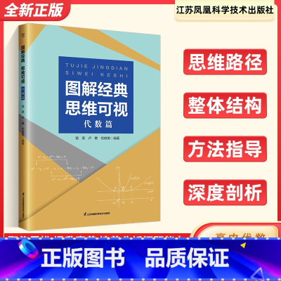 图解经典 思维可视(代数篇) 高中通用 [正版]全新 图解经典思维可视代数篇 高中数学函数与导数高二数列高三概率统计辅导