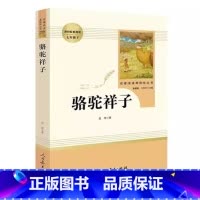 [人教版]骆驼祥子 [正版]朝花夕拾+西游记共2册七年级上册必读的课外书原著鲁迅人教版完整版人民教育出版社七上初一文学名