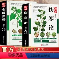 [正版] 伤寒论 张仲景+金匮要略 共两本中医临床丛书伤寒论杂病论中医四大经典名著自学入门古籍医学书中医基础理论知识