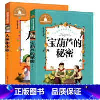 [正版]全2册 大林和小林宝葫芦的秘密 注音彩图版张天翼著 一年级二年级课外书读儿童读物 6-7-8-10岁文学儿童书