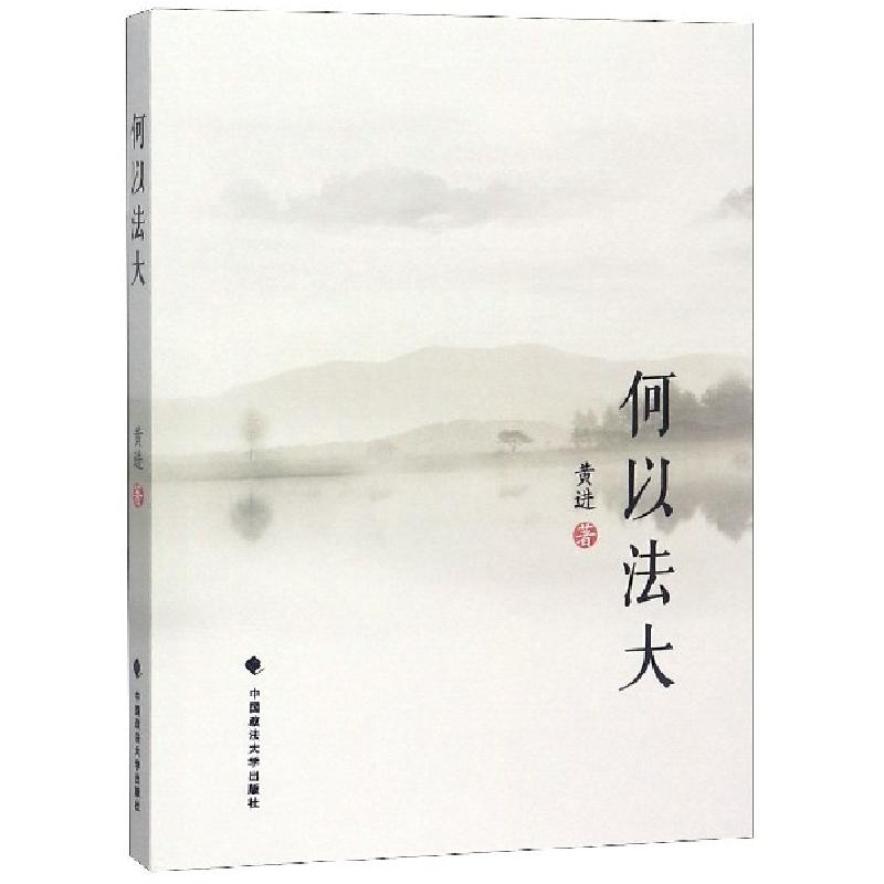 正版新书]何以法大黄进9787562088592