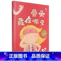 骨头藏在哪里 [硬壳 A4开本] [正版]幼儿园硬壳硬皮精装绘本关于保护牙齿的绘本保护身体系列 关于身体的绘本 科普百科