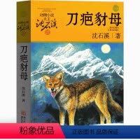 刀疤豺母 [正版]刀疤豺母 沈石溪动物小说精品集系列儿童文学小学生课外书长篇单本作品全集珍藏版品藏书系大王升级版三四五六