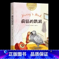 疯狂的鹦鹉 [正版]书店尼斯湖水怪迪克动物小说系列全套5册任选 儿童文学奖 号角奖 金史密斯7-10岁小学生小学生课外励