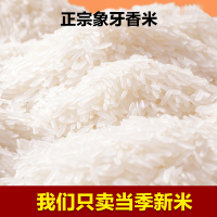 [嚼劲]长粒香象牙香米拌饭焖饭香粒粒分明新鲜大米