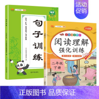 阅读理解+句子训练 二年级下 [正版]新版小学二年级上册下册语文专项训练全套人教版看图说话写话阅读理解看拼音写词语生字组