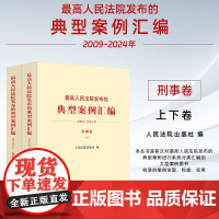 正版 最高人民法院发布的典型案例汇编(2009一2024 年)刑事卷 人民法院出版社 9787510943096