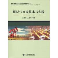 音像煤层气开发技术与实践王峰明,王生维等著