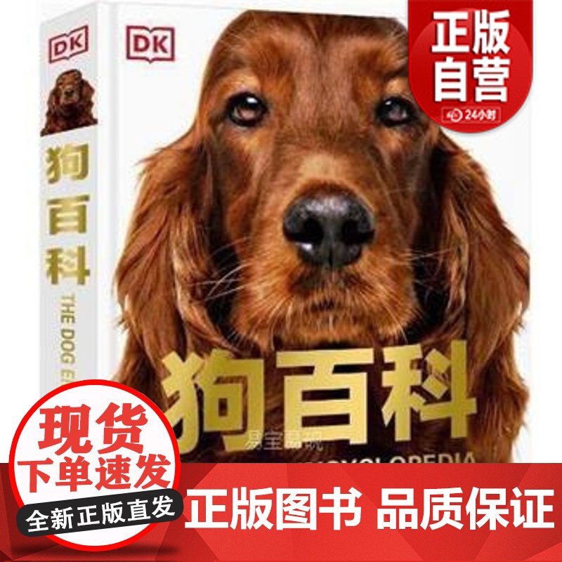 dk狗百科 名犬百科 科学饲养 养狗全攻略书籍 宠物狗图鉴大全 懒人养宠速成手册 狗狗大百科 饲养狗狗书籍 狗类驯养入门