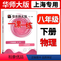 物理 八年级/初中二年级 [正版]2024物理一课一练八年级下华东师大版物理八年级下册八下第二学期上海初中8下初二教辅练