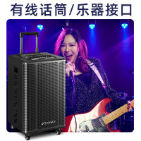 山水(SANSUI)E15户外拉杆大功率音响 移动蓝牙露营重低音炮音箱 E15豪华版(15吋重低音+美声话筒)