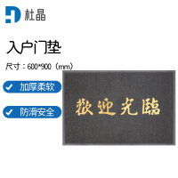 杜晶 DJ-DT248 入户门垫 安全防滑脚垫 丝圈塑料地垫PVC地板 灰色0.6米宽