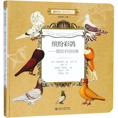 [M]缤纷彩鸽-9787301265789