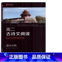 [正版]高二 古诗文阅读 强化训练黑皮语文系列高中语文专项练习分题型强化高中文言文阅读训练 词曲阅读训练 高中古诗文理
