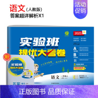 [人教版]语文 六年级下 [正版]2023旧版实验班提优大考卷一二三四五六年级上下册语数英全套人教版苏教版北师大同步练习