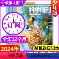 C[送日记本]跨年订阅2024年4月-2025年3月 [正版]少儿科学周刊少年版杂志2024/2023/2022年1-1