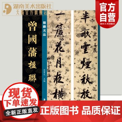 正版新书楹联名品曾国藩楹联孙宝文主编繁体旁注毛笔书法字帖学习临摹范本诗文绘画园林艺术湖南美术出版社