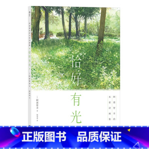 [正版]恰好有光:阿部智幸的水彩诗画集