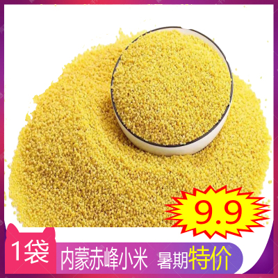 内蒙古赤峰小米黄小米杂粮小米小米粥非沁州黄小米500g