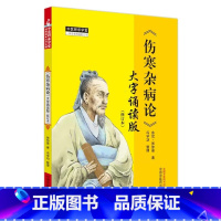 伤寒杂病论:大字诵读版 [正版]《伤寒杂病论》 大字诵读版(修订本) [东汉]张仲景 著 中医生活 书店图书籍 中国中医