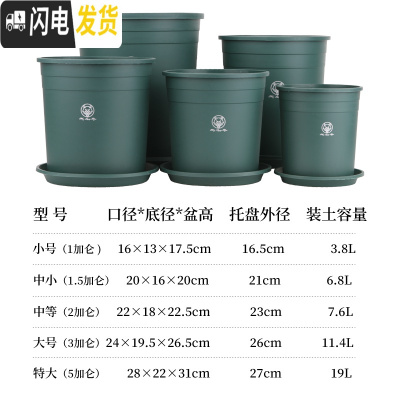 三维工匠加仑盆二代加厚塑料树脂多肉绿萝家用阳台种花月季盆栽控根大花盆 [2个装]绿色(盆+托) 小花盆容器