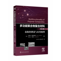 音像多功能聚合物复合材料(第2卷面临的挑战与应用案例)