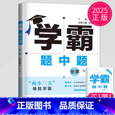 化学 九年级上 鲁教版 九年级/初中三年级 [正版]2024学霸题中题数学英语物理化学七年级上册八年级下册九年级上苏科版