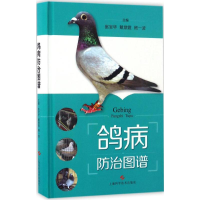 [M]鸽病防治图谱-9787547834060