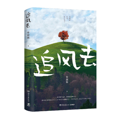 正版新书]追风去毕淑敏 著 著9787572625275