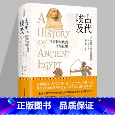 [正版]古代埃及从原初时代到波斯征服 讲述埃及四千年的文明史古代埃及的艺术遗址神庙 纪念建筑和语言古埃及历史故事阅读书