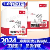 语文》寒假练字帖-人教版 小学四年级 [正版]2024版一本小学语文寒假阅读+练字帖寒假作业衔接一年级二年级三四五六年级