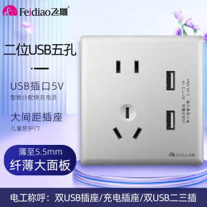 飞雕(FEIDIAO)超薄大板 开关插座格韵系列86型带开关插座面板墙壁电源插座 格韵月光银五孔带2USB