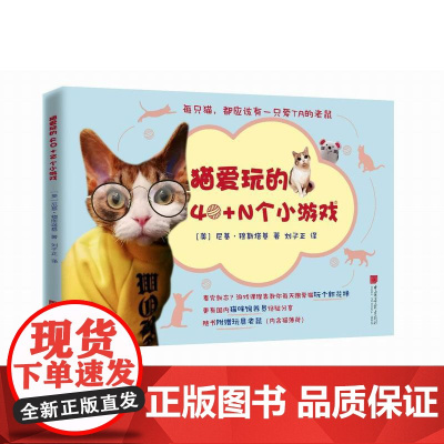 猫爱玩的40+N个小游戏 尼基·穆斯塔基 中国画报出版社 正版书籍