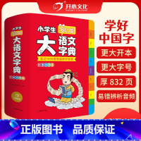 [正版]2024小学生大语文字典小学生多功能大全四字彩图彩色版中华现代汉语词语词典工具书中小学字典儿童成语积累大全训练