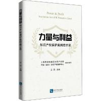 正版新书]力量与利益 知识产权保护案例启示录王迁9787513065498