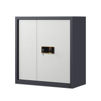 风雷动指纹电子保密柜钢制密码文件柜档案柜矮柜保密资料柜办公柜单节灰白钥匙指纹