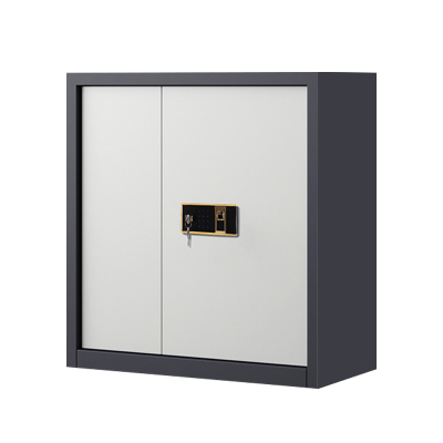 风雷动指纹电子保密柜钢制密码文件柜档案柜矮柜保密资料柜办公柜单节灰白钥匙指纹