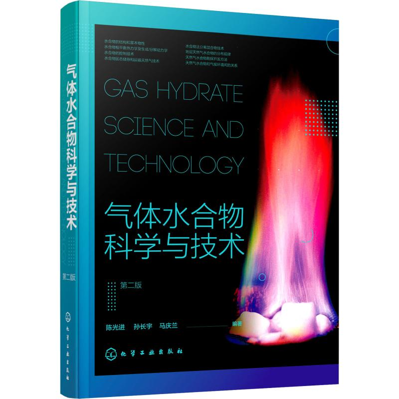 音像气体水合物科学与技术 第2版进,孙长宇,马庆兰