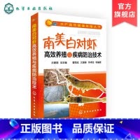 [正版]水产高效健康养殖 南美白对虾高效养殖与疾病防治 水产畜牧养殖参考书 南美白对虾的生物学基础 养殖业水产养殖 室