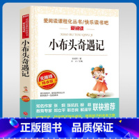 小布头奇遇记 [正版]小布头奇遇记名家名译语文阅读赏析写作借鉴世界经典文学名著