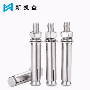 新凯益 304不锈钢膨胀螺丝螺栓 M6*100 个